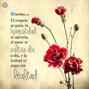 Meet your Posher, Edith